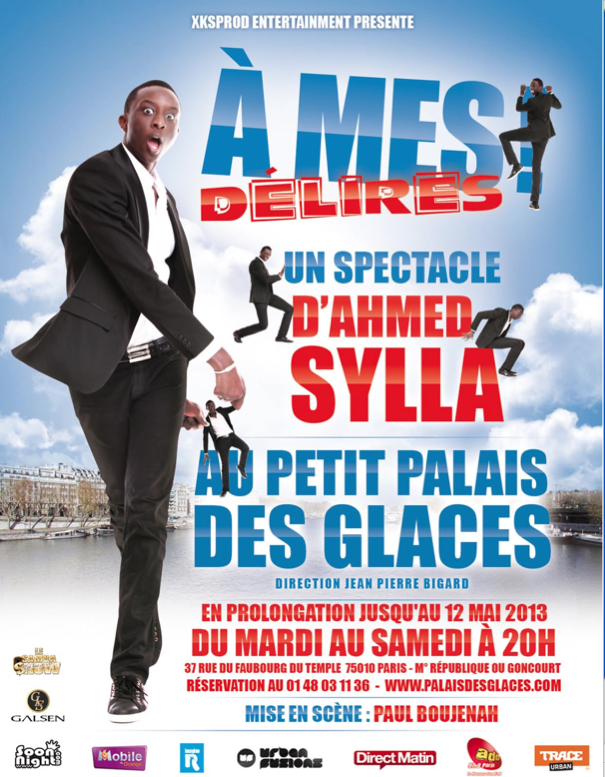 Ahmed Sylla — Petit Palais des Glaces 2013